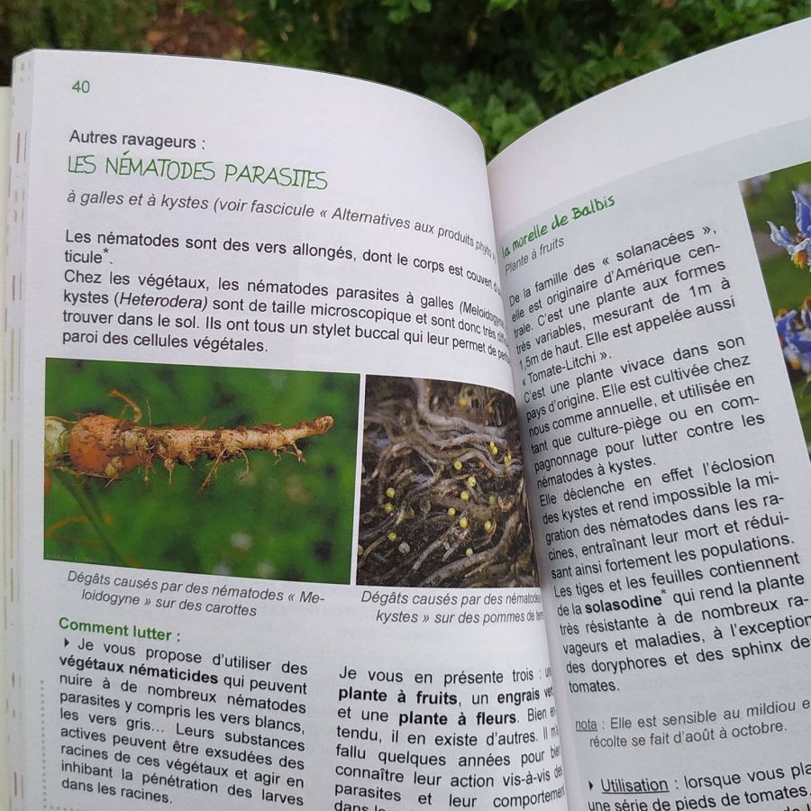 Mise en page de livre de jardinage par Atelier Matière