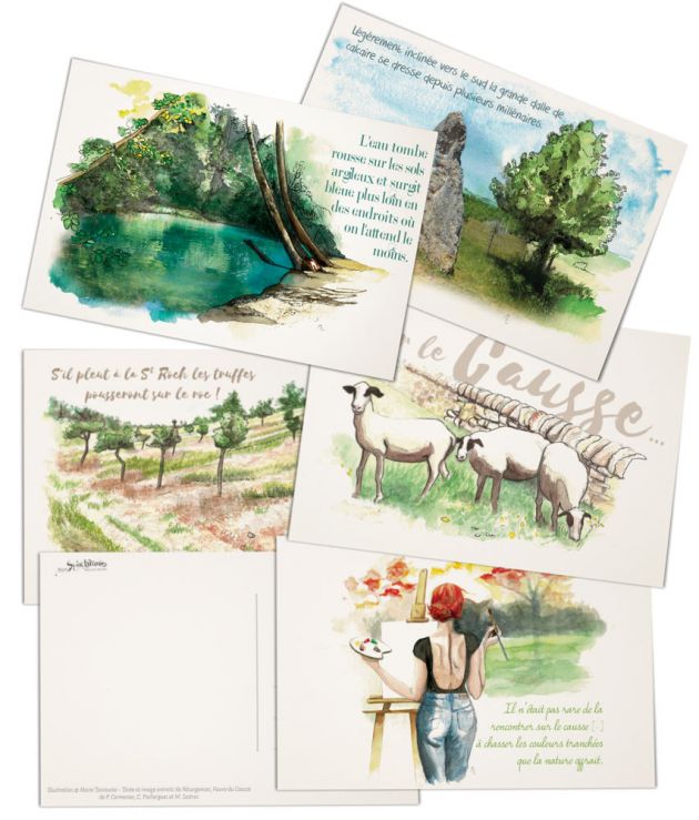 cartes postales, illustrations à l'aquarelle